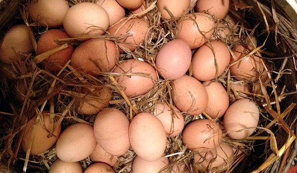 Harika besin: Yumurta’nın faydaları