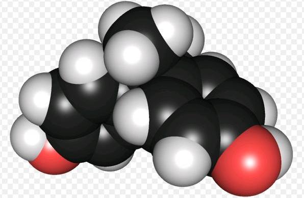 İnsan Sağlığı İçin Olası Bir Tehdit  Bisfenol A