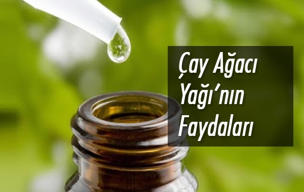 Çay Ağacı Yağının 11 Faydası