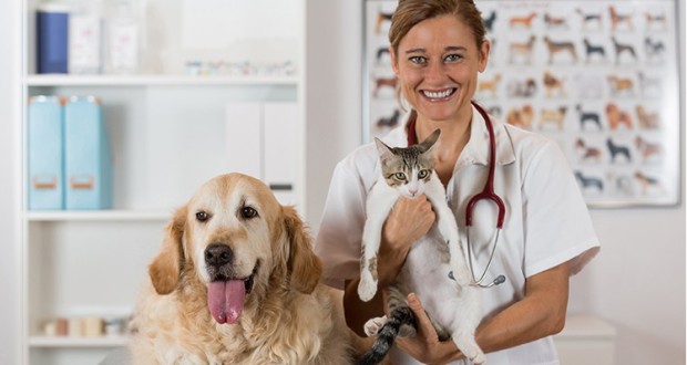 Sigorta şirketlerinden kedi ve köpeklere özel pet sigorta paketleri