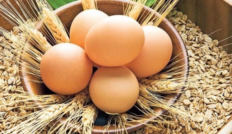 Yumurta Faydalımı Zararlımı? Yumurta’nın Tarihi