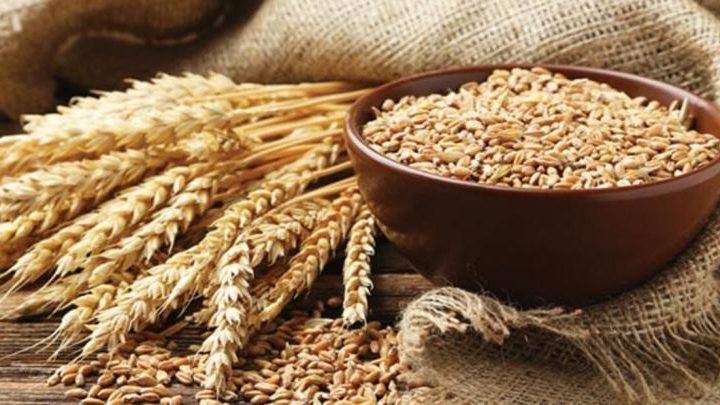 Sağlıklı beslenme uzmanlarının tavsiyesi Siyez buğday