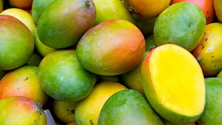 Mango Meyvesi: Tüketimi ve Eşleştirmeleri